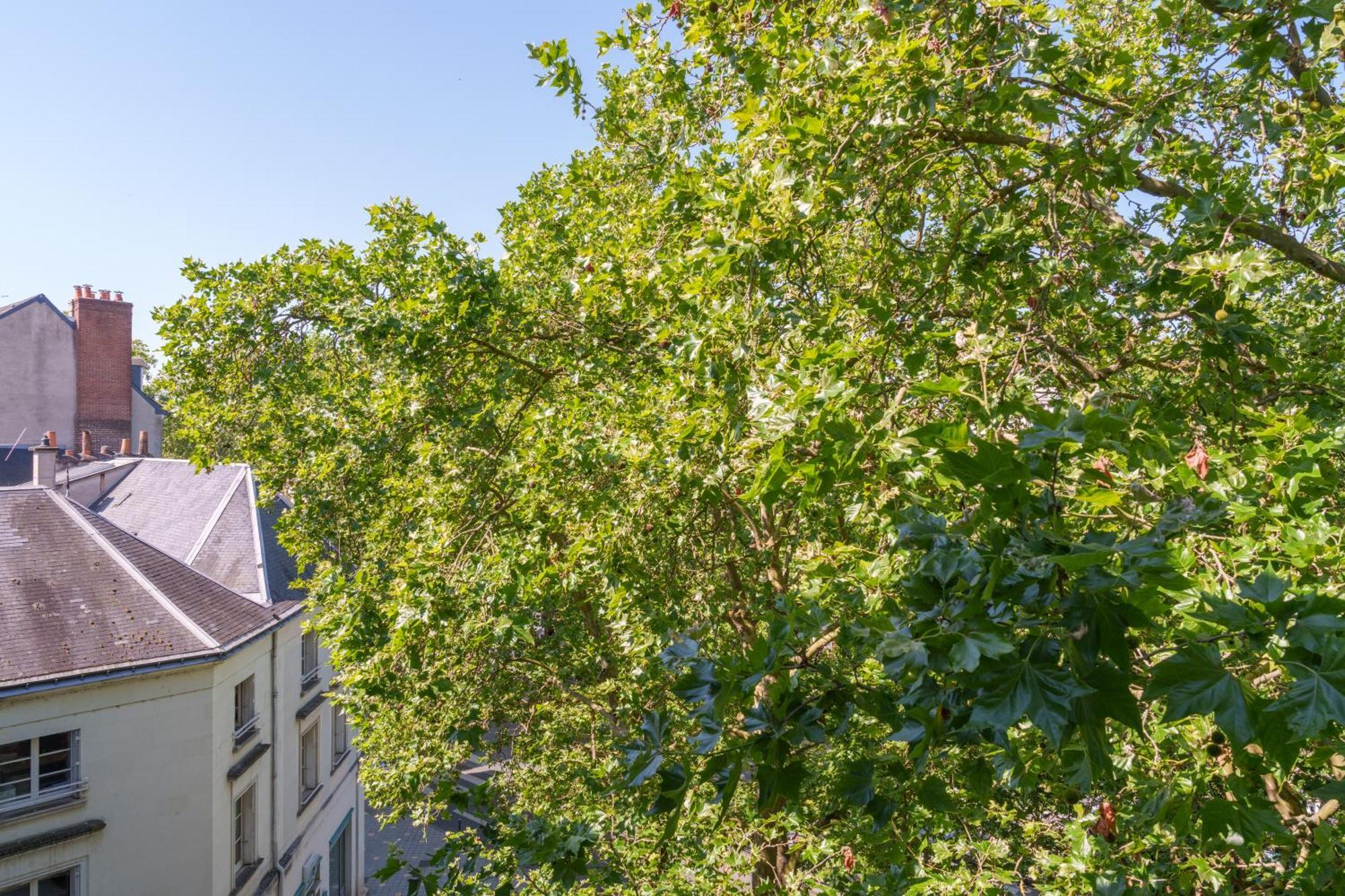 Appartement Tours Centre Avec Parking 4 P 외부 사진